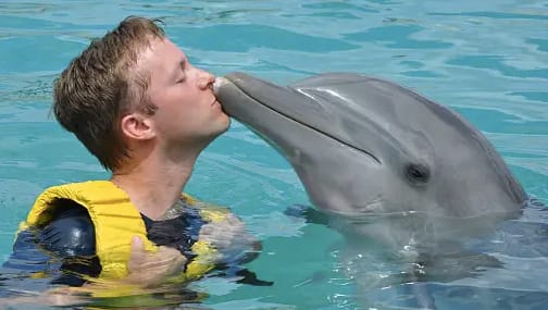 foto com golfinho em Cancún