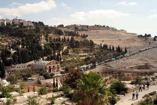 Monte das Oliveiras em Jerusalém