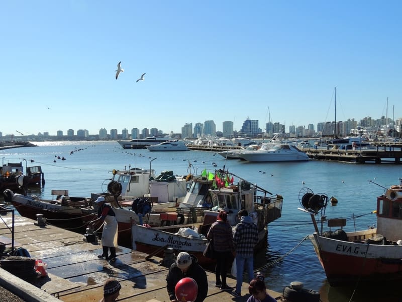 Porto Punta Del Este